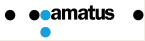 amatus